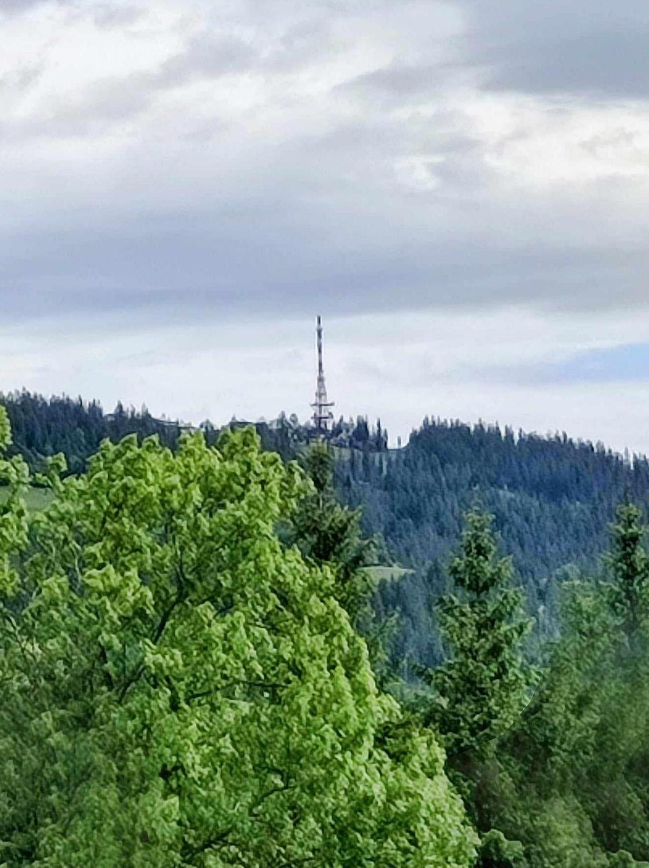 Dom Lesnik Apartment Zakopane Luaran gambar