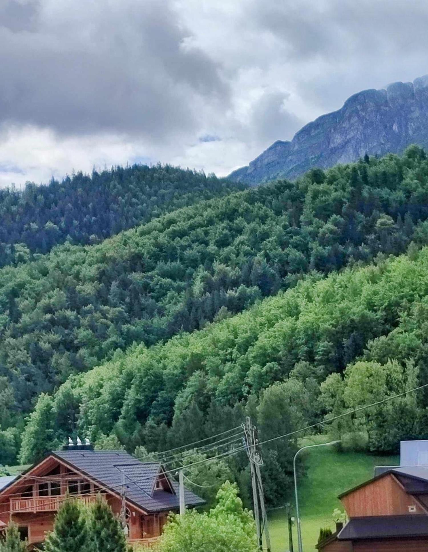 Dom Lesnik Apartment Zakopane Luaran gambar