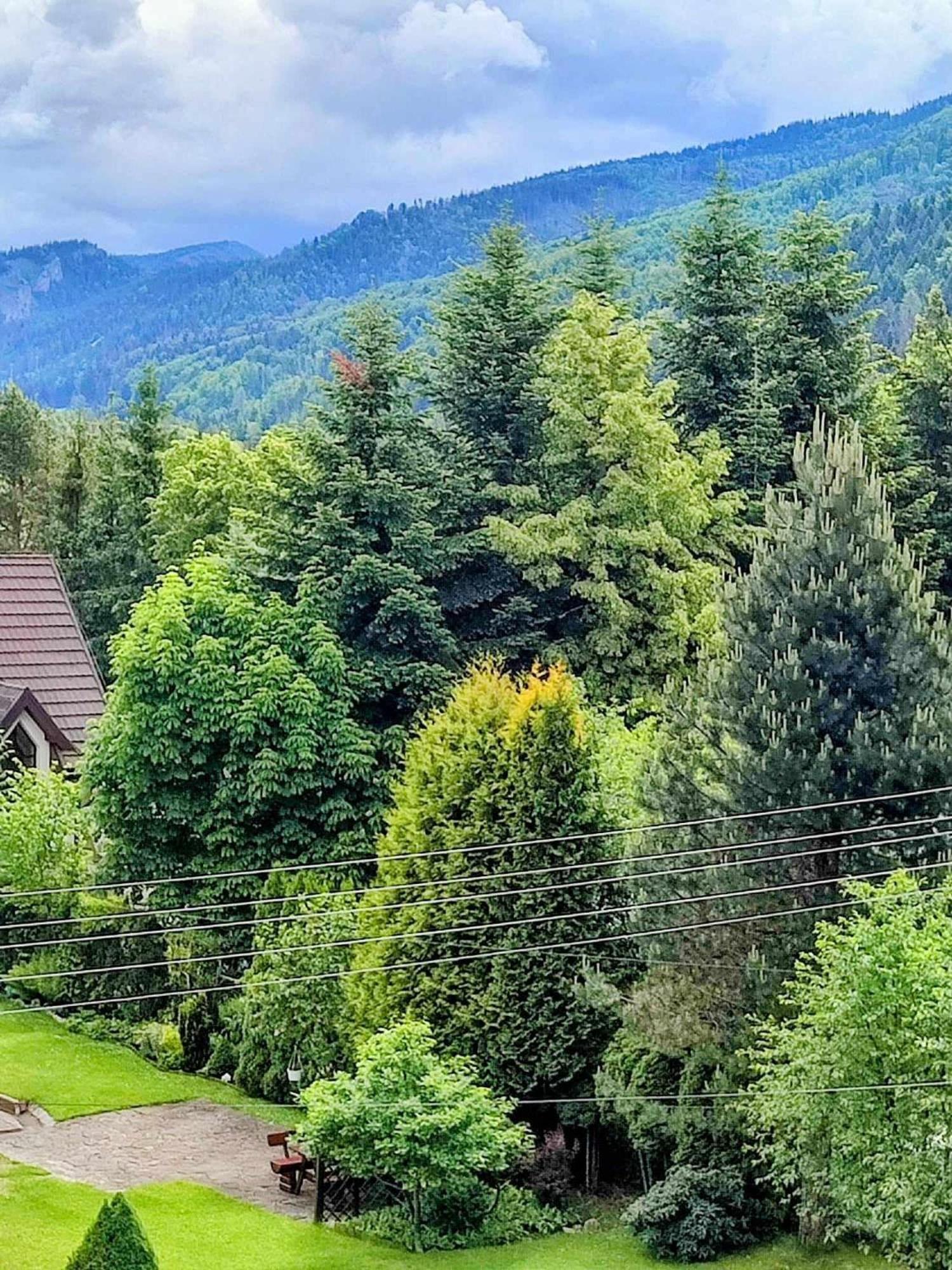 Dom Lesnik Apartment Zakopane Luaran gambar