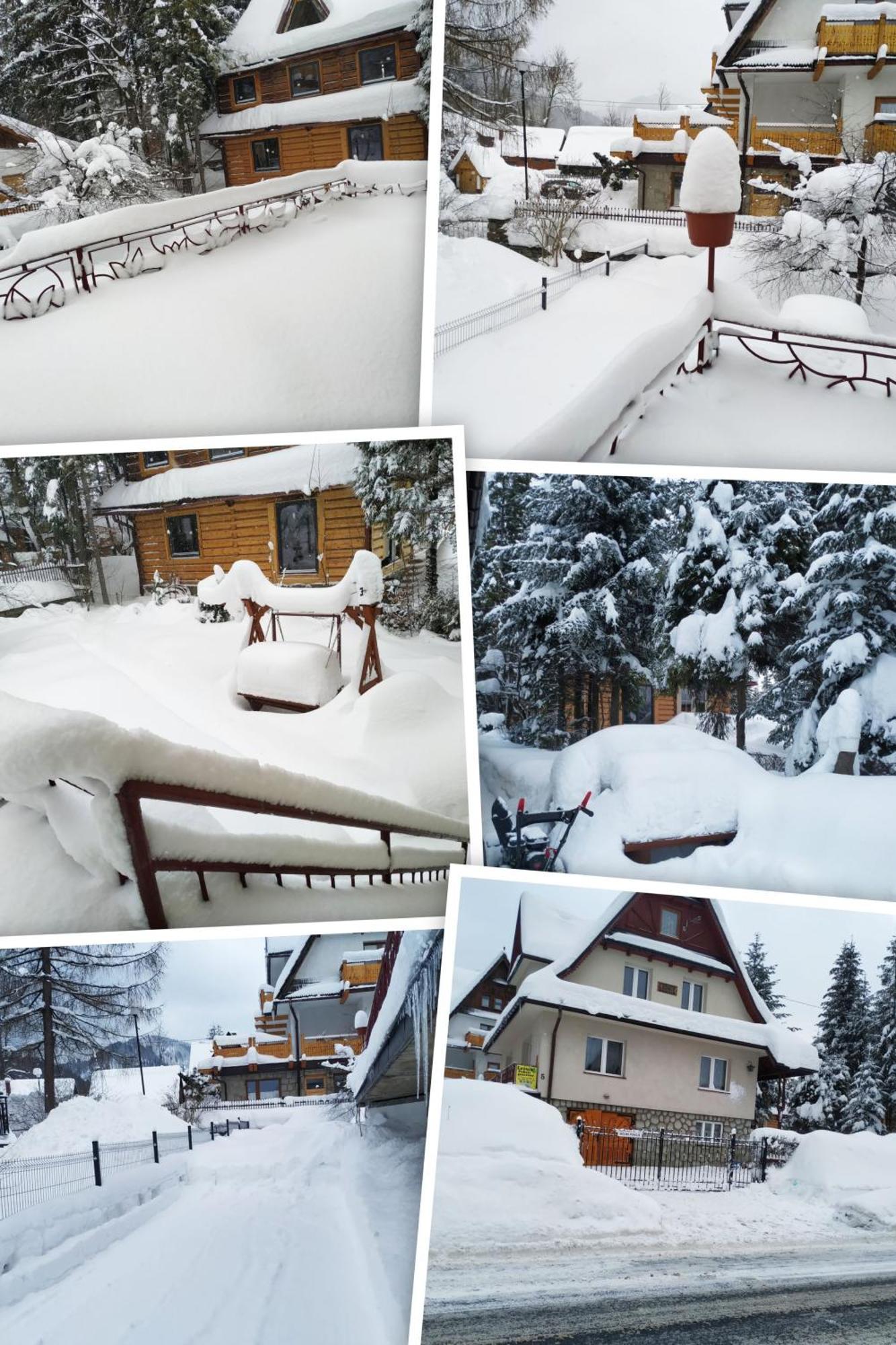 Dom Lesnik Apartment Zakopane Luaran gambar